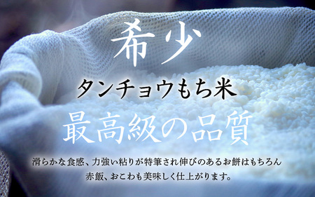 【新米】お試し 幻のもち米 タンチョウ もち米 1kg（玄米） 令和6年産【お米 米 こめ コメ kome 福井県産 モチ たんちょう おこわ 餅 おもち 4000円 常温 年末 赤飯 餅つき 】 [e35-a016]