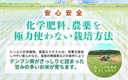 【新米】お試し 幻のもち米 タンチョウ もち米 1kg（玄米） 令和6年産【お米 米 こめ コメ kome 福井県産 モチ たんちょう おこわ 餅 おもち 4000円 常温 年末 赤飯 餅つき 】 [e35-a016]