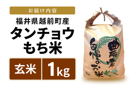 【新米】お試し 幻のもち米 タンチョウ もち米 1kg（玄米） 令和6年産【お米 米 こめ コメ kome 福井県産 モチ たんちょう おこわ 餅 おもち 4000円 常温 年末 赤飯 餅つき 】 [e35-a016]