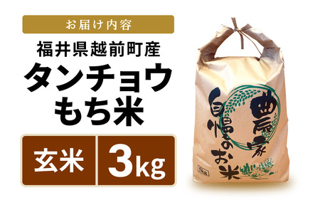 新米・先行予約】幻のもち米 タンチョウもち米 3kg（玄米） 令和6年産【お米 米 こめ コメ kome 福井県産 モチ たんちょう おこわ 餅  おもち 常温 年末 赤飯 餅つき】【令和6年10月下旬より順次発送】 [e35-a017] | 福井県越前町 | ふるさと納税サイト「ふるなび」