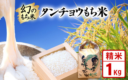 【新米】お試し 幻のもち米 タンチョウもち米 1kg（精米）令和6年産【お米 米 こめ コメ kome 福井県産 モチ たんちょう おこわ 餅 おもち 4000円 常温 年末 赤飯 餅つき】 [e35-a019]