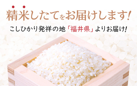 【新米】お試し 幻のもち米 タンチョウもち米 1kg（精米）令和6年産【お米 米 こめ コメ kome 福井県産 モチ たんちょう おこわ 餅 おもち 4000円 常温 年末 赤飯 餅つき】 [e35-a019]