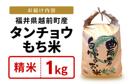 【新米】お試し 幻のもち米 タンチョウもち米 1kg（精米）令和6年産【お米 米 こめ コメ kome 福井県産 モチ たんちょう おこわ 餅 おもち 4000円 常温 年末 赤飯 餅つき】 [e35-a019]