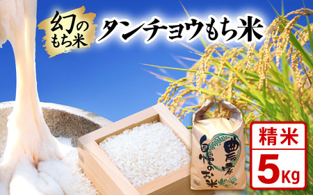 【新米】幻のもち米 タンチョウもち米 5kg（精米） 令和6年産【お米 米 こめ コメ kome 福井県産 モチ たんちょう おこわ 餅 おもち 常温 年末 赤飯 餅つき】 [e35-a021]