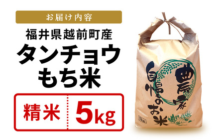 【新米】幻のもち米 タンチョウもち米 5kg（精米） 令和6年産【お米 米 こめ コメ kome 福井県産 モチ たんちょう おこわ 餅 おもち 常温 年末 赤飯 餅つき】 [e35-a021]