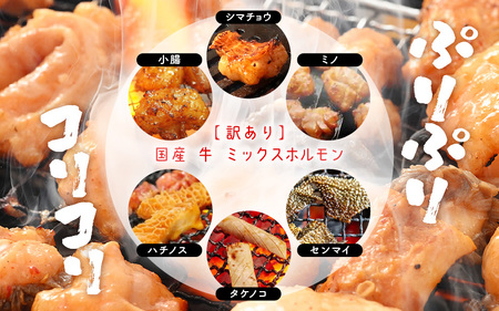 【訳あり】国産牛 ミックスホルモン 計900g（150g × 6袋）シマチョウ・小腸・ハチノス・センマイ・ミノ・タケノコ [e03-a033]