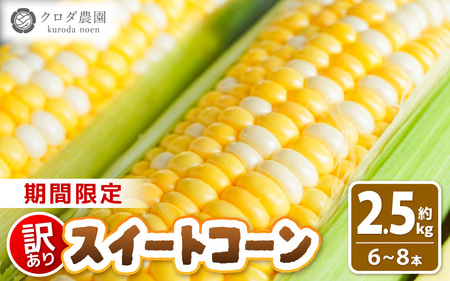 【先行予約】【訳あり】農場直送 鮮度抜群 スイートコーン（とうもろこし ) 約2.5kg（6本～8本)【2026年7月上旬より順次発送予定】 【お楽しみ バーベキュー 冷凍保存可能 焼肉 おやつ ご飯のおとも 野菜 国産 産地直送】 [e62-a008]