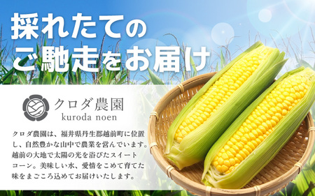 【先行予約】【訳あり】農場直送 鮮度抜群 スイートコーン（とうもろこし ) 約2.5kg（6本～8本)【2026年7月上旬より順次発送予定】 【お楽しみ バーベキュー 冷凍保存可能 焼肉 おやつ ご飯のおとも 野菜 国産 産地直送】 [e62-a008]