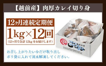 定期便 ≪12ヶ月連続お届け≫ 使い勝手抜群！福井県網元漁師が厳選 肉厚な越前産カレイの切り身（無塩）1kg × 12回 計12kg 【 たっぷり 焼き魚 煮付け バラ凍結便利 】 [e15-e004]