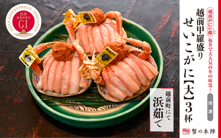 越前甲羅盛り 浜茹で【せいこがに 大】3杯セット [e56-x012]