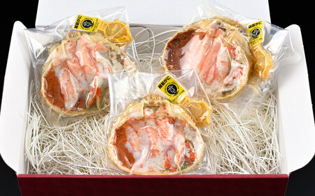 越前甲羅盛り 浜茹で【せいこがに 大】3杯セット [e56-x012]