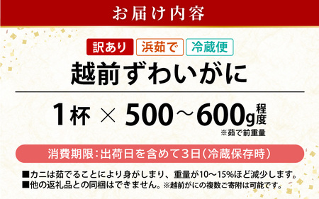 【訳あり】浜茹で 越前がに 約500～600g × 1杯（茹で前重量） 食べ方しおり付き【3月発送】【雄 ズワイガニ ずわいがに かに カニ 蟹 姿 ボイル 福井県】希望日指定可 備考欄に希望日をご記入ください [e04-x021_03]