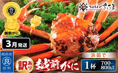 【訳あり】浜茹で 越前がに 約700～800g × 1杯（茹で前重量） 食べ方しおり付き【3月発送】【雄 ズワイガニ ずわいがに かに カニ 蟹 姿 ボイル 福井県】希望日指定可 備考欄に希望日をご記入ください [e04-x022_03]