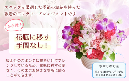 【先行予約】【 敬老の日限定 】 そのまま飾れる フラワーアレンジメント 生花【2026年9月18日～9月21日発送】 感謝を大切な人に メッセージカード付・越前和紙 小花一輪付【ギフト 手軽 花 華 おしゃれ プレゼント 敬老の日 シルバー 花瓶いらず 水替え無 生花 敬老の日 の感謝 大切な人に！メッセージカードと共に越前和紙 小花1輪付 敬老の日 ギフト 敬老の日飾る 敬老の日 喜ばれる  敬老の日 お祝 敬老の日 贈答品 敬老の日 生花 敬老の日 メッセージカード 敬老の日花 敬老の日フラワーギフト 敬老の日お花 [e51-a011]