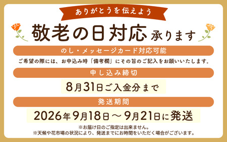 【先行予約】【 敬老の日限定 】 そのまま飾れる フラワーアレンジメント 生花【2026年9月18日～9月21日発送】 感謝を大切な人に メッセージカード付・越前和紙 小花一輪付【ギフト 手軽 花 華 おしゃれ プレゼント 敬老の日 シルバー 花瓶いらず 水替え無 生花 敬老の日 の感謝 大切な人に！メッセージカードと共に越前和紙 小花1輪付 敬老の日 ギフト 敬老の日飾る 敬老の日 喜ばれる  敬老の日 お祝 敬老の日 贈答品 敬老の日 生花 敬老の日 メッセージカード 敬老の日花 敬老の日フラワーギフト 敬老の日お花 [e51-a011]
