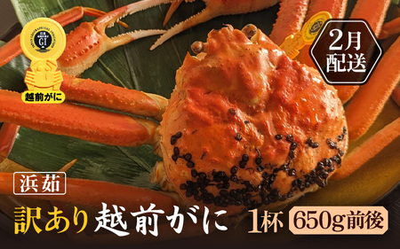 【訳あり】蟹本場 越前町から！ 越前カニ 浜茹で 1杯 (生で650g前後)  [e65-x001_02] 【2月発送】