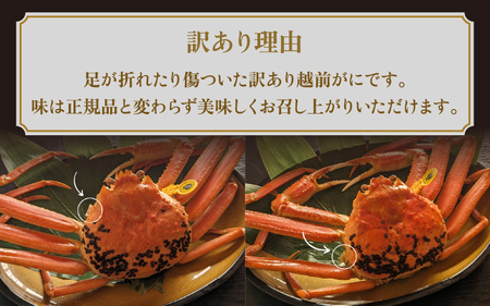 【訳あり】蟹本場 越前町から！ 越前カニ 浜茹で 1杯 (生で850g前後)  [e65-x002_03] 【3月発送】
