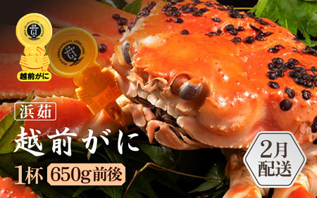 【蟹本場 】 越前町からお届け！越前カニ浜茹で 1杯 (生で700g前後) [e65-x003_02] 【2月発送】
