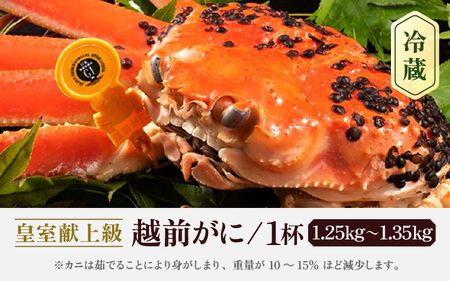 【蟹本場 】 越前町からお届け！越前カニ浜茹で 超特 皇室献上級 1杯 [e65-x005_02]