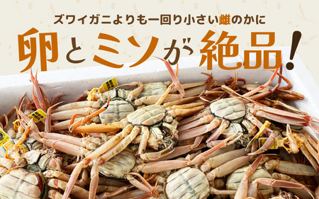 黄色のタグ付き！！越前せいこ蟹 甲羅盛り 「身出し」 セット 2個 「冷凍」 【魚介類 かに むき身 食べやすい せいこがに セイコカニ セコガニ ボイル 蟹 雌蟹 ズワイガニ 小分け 個包装 惣菜 夕食】 [e72-a001]