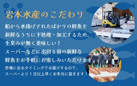 黄色のタグ付き！！ 越前せいこ蟹 甲羅盛り 「身出し」 セット 5個 「冷凍」 【魚介類 かに むき身 食べやすい せいこがに セイコカニ セコガニ ボイル 蟹 雌蟹 ズワイガニ 小分け 個包装 惣菜 夕食】 [e72-c001]