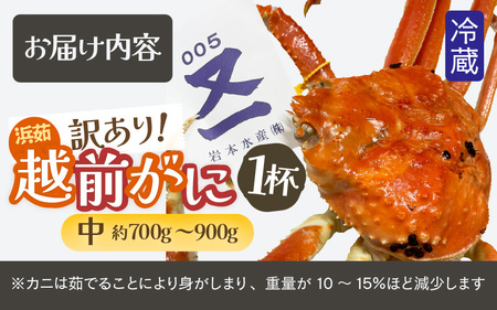 【訳あり】蟹本場 越前町から！越前カニ 浜茹で  中サイズ（生で約700～900g） 1杯 [e72-x003_02]【2月発送】