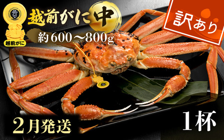 【訳あり】越前がに本場の越前町からお届け！≪浜茹で≫越前がに 中サイズ（生で約600～800g） × 1杯【2月発送分】【雄 ズワイガニ 越前ガニ 姿 ボイル 冷蔵 かに カニ 蟹 福井県】希望日指定可 備考欄に希望日をご記入ください [e49-x008_02]