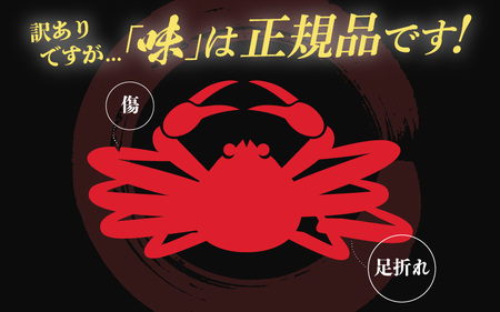 【訳あり】越前がに本場の越前町からお届け！≪浜茹で≫越前がに 中サイズ（生で約600～800g） × 1杯【2月発送分】【雄 ズワイガニ 越前ガニ 姿 ボイル 冷蔵 かに カニ 蟹 福井県】希望日指定可 備考欄に希望日をご記入ください [e49-x008_02]