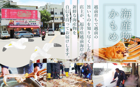 【訳あり】越前がに本場の越前町からお届け！≪浜茹で≫越前がに 中サイズ（生で約600～800g） × 1杯【2月発送分】【雄 ズワイガニ 越前ガニ 姿 ボイル 冷蔵 かに カニ 蟹 福井県】希望日指定可 備考欄に希望日をご記入ください [e49-x008_02]