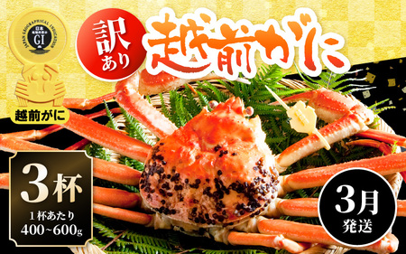 越前がに本場の越前町からお届け！【訳あり】≪浜茹で≫越前がに 3杯（生で1杯400～600g）食べ方しおり付【規格外 雄 ズワイガニ かに カニ 蟹 越前ガニ 姿 ボイル 冷蔵 福井県】【3月発送分】希望日指定可 備考欄に希望日をご記入ください [e14-x021_03] 8,875円