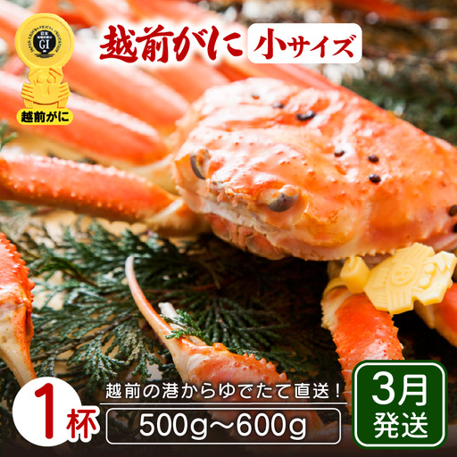 【蟹本場 】 越前町からお届け！越前カニ浜茹で小（生で500g前後）1杯【3月発送】 [e23-x015_03]