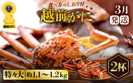 越前がに本場の越前町からお届け！越前がに浜茹で特々大サイズ（生で約1.1～1.2kg）×2杯【3月発送】 [e57-x008_03] 越前町 雄 ズワイガニ ボイル 冷蔵 越前がに 越前ガニ 越前かに 越前カニ