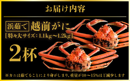 越前がに本場の越前町からお届け！越前がに浜茹で特々大サイズ（生で約1.1～1.2kg）×2杯【3月発送】 [e57-x008_03] 越前町 雄 ズワイガニ ボイル 冷蔵 越前がに 越前ガニ 越前かに 越前カニ