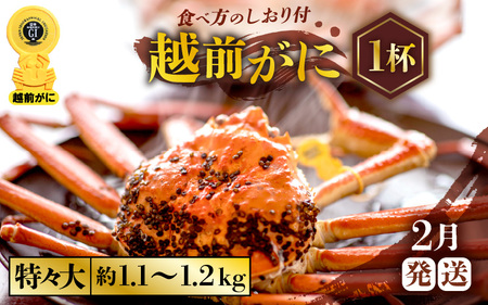 越前がに本場の越前町からお届け！越前がに浜茹で特々大サイズ（生で約1.1～1.2kg）×1杯【2月発送】 [e57-x007_02] 越前町 雄 ズワイガニ ボイル 冷蔵 越前がに 越前ガニ 越前かに 越前カニ