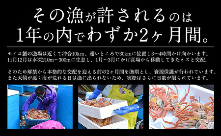 【先行予約】 越前 せいこがに 130前後×5尾 計650g 【冷蔵便】【2024年11月中旬より順次発送開始】 【越前せいこがに セイコガニ 越前がに 雌 せこがに ボイル 釜茹で 内子 外子 かに 味噌 】 [e70-a005]