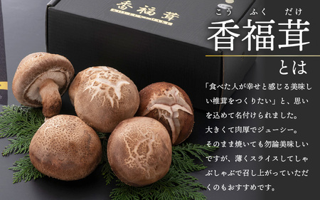 「福井県ブランド」原木生椎茸「香福茸」6～8個　高級 極上の逸品！ [e06-b002]