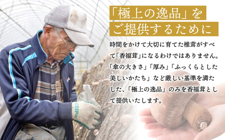「福井県ブランド」原木生椎茸「香福茸」6～8個　高級 極上の逸品！ [e06-b002]