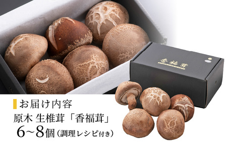 「福井県ブランド」原木生椎茸「香福茸」6～8個　高級 極上の逸品！ [e06-b002]