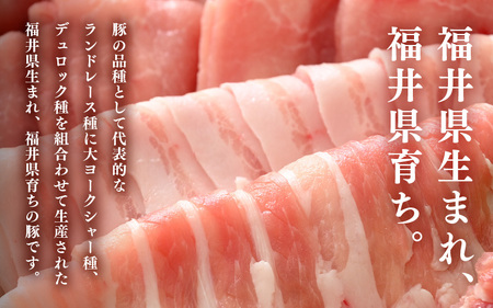 【ブランド豚】ふくいポーク バラスライス 900g（300g 3パック）冷凍 国産豚肉 [e02-a022]