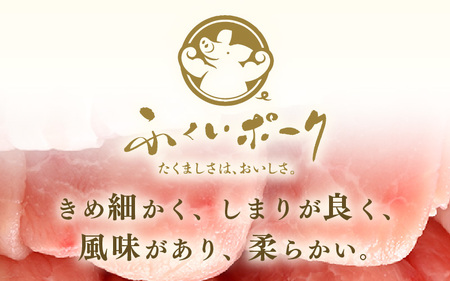 【ブランド豚】ふくいポーク ロース薄切 計600g 国産豚肉 冷凍 [e02-a026]