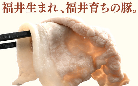 【ブランド豚】ふくいポーク ロース薄切 計600g 国産豚肉 冷凍 [e02-a026]