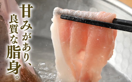 【ブランド豚】ふくいポーク ロース薄切 計600g 国産豚肉 冷凍 [e02-a026]