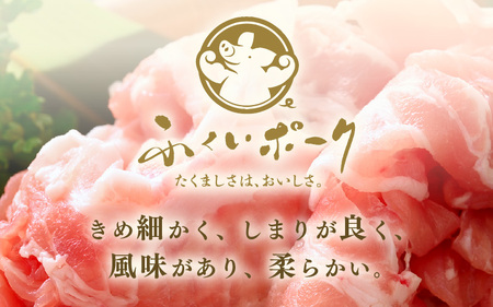 【ブランド豚】ふくいポーク 切り落とし 1kg 国産豚肉 冷凍 [e02-a031]