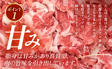 【ブランド豚】ふくいポーク 切り落とし 1kg 国産豚肉 冷凍 [e02-a031]