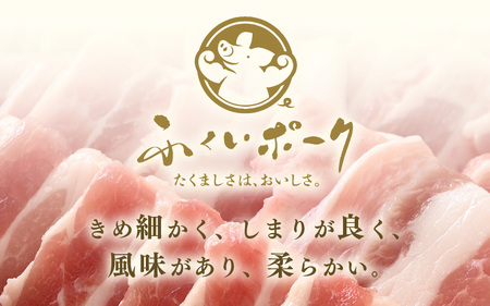 【ブランド豚】ふくいポーク 豚バラ焼肉 600g（300g × 2パック）国産肉 冷凍 [e02-a033]