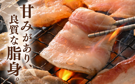 【ブランド豚】ふくいポーク 豚バラ焼肉 600g（300g × 2パック）国産肉 冷凍 [e02-a033]