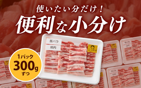 【ブランド豚】ふくいポーク 豚バラ焼肉 600g（300g × 2パック）国産肉 冷凍 [e02-a033]