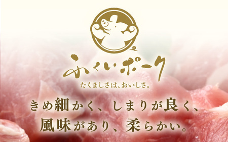 【ブランド豚】ふくいポーク 豚ヒレ切り身 600g 国産肉 冷凍 カツ [e02-a037]