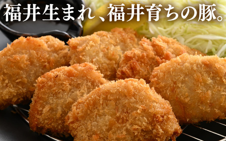 【ブランド豚】ふくいポーク 豚ヒレ切り身 600g 国産肉 冷凍 カツ [e02-a037]