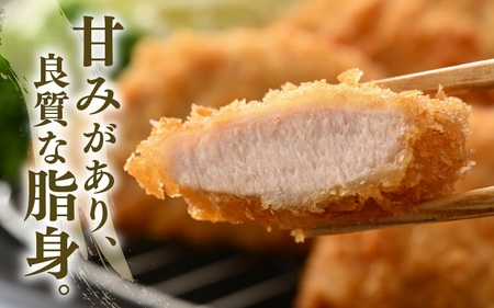 【ブランド豚】ふくいポーク 豚ヒレ切り身 600g 国産肉 冷凍 カツ [e02-a037]